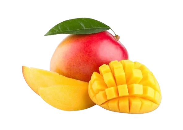 Mangue